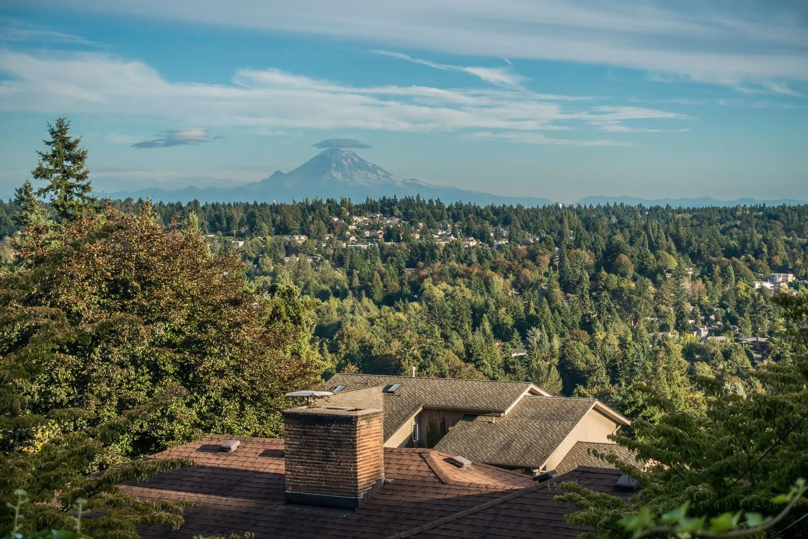 Simple, stress-free, and fast moves for families and businesses across Kent, WA