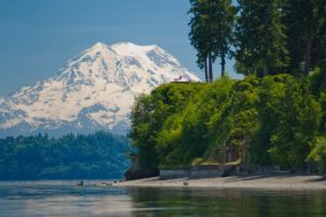 Lacey WA